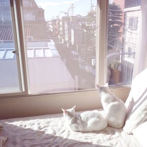 同学聚会的奸夫淫妇啪视频
