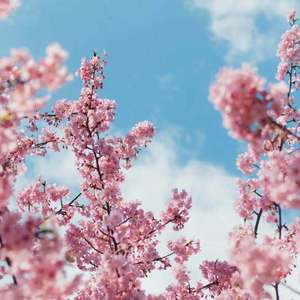 同学聚会的奸夫淫妇啪视频
