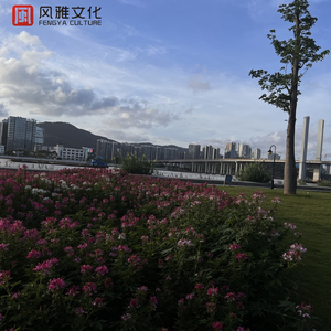 同学聚会的奸夫淫妇啪视频
