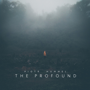 同学聚会的奸夫淫妇啪视频
